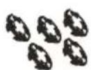HAIER HW90B16939 - Accessories - 2
