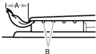 A B