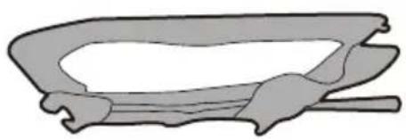 BESTWAY H2OGO! 53303 - Rangement - 1