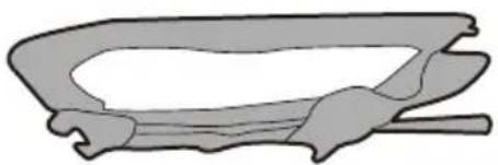 BESTWAY H2OGO! 53303 - Almacenamento - 1