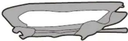 BESTWAY H2OGO! 53303 - Conservazione - 1