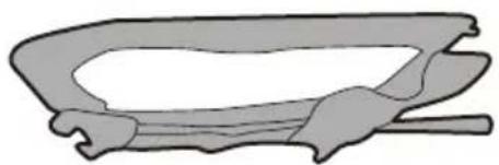 BESTWAY H2OGO! 53303 - ANOOHKEYsH - 1