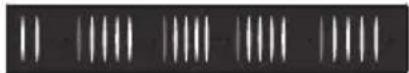 KORG Pitchblack X Pro - Meter display setting - 2