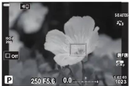 OLYMPUS OM5 - Zoom AF sur l'image/zoom AF (super spot AF) - 3