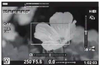 OLYMPUS OM5 - Utilisation de [vidéo ↗] - 1