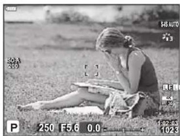 OLYMPUS OM5 - Permutation des affichages - 1