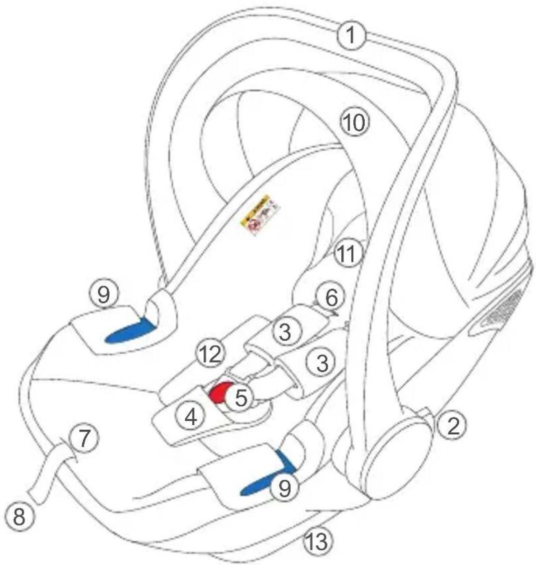 Babyblume Maple iSize - Component Parts - 1
