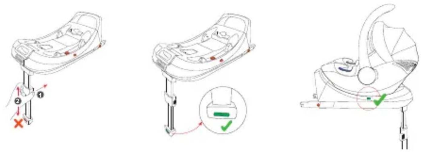 Babyblume Maple iSize - Einbau mit Isofix Basis (optional) - 2