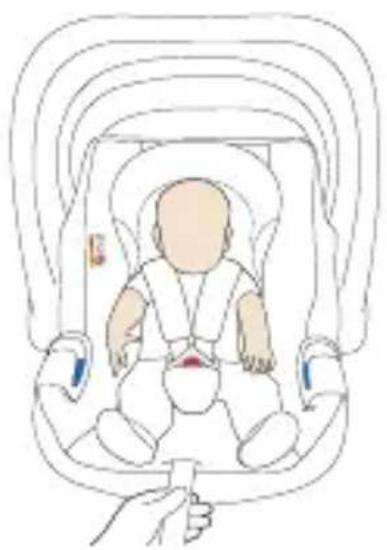 Babyblume Maple iSize - Einbau im Fahrzeug - 2