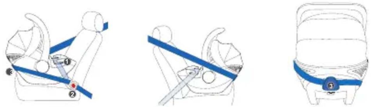 Babyblume Maple iSize - Installation without Isofix base - 1
