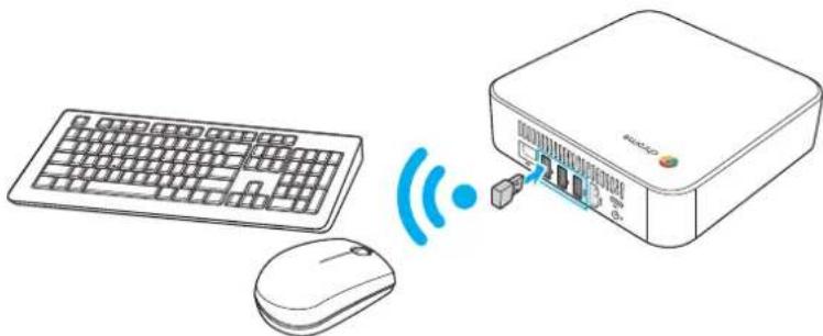 VIEWSONIC NMP660 - Raccordement d'une souris et d'un clavier sans fil - 1