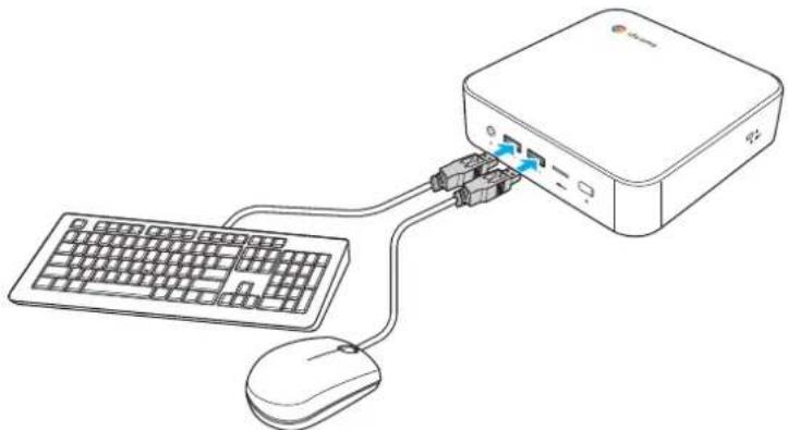 VIEWSONIC NMP660 - Raccordement d'une souris et d'un clavier - 1