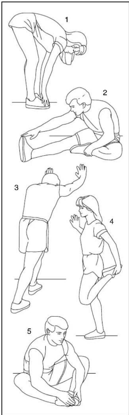 Pro-form Carbon T10 - Étirement de la cuisse intérieure - 1