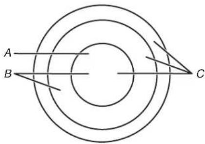 JENN-AIR JEC4430KS - Dual/Triple Element - 1