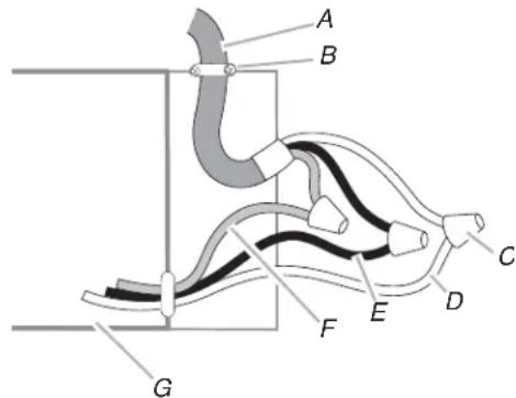 JENN-AIR WVW53UC0LS - Risque de choc électrique - 2