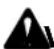 RIDGID R1500 - Avertissement : - 4