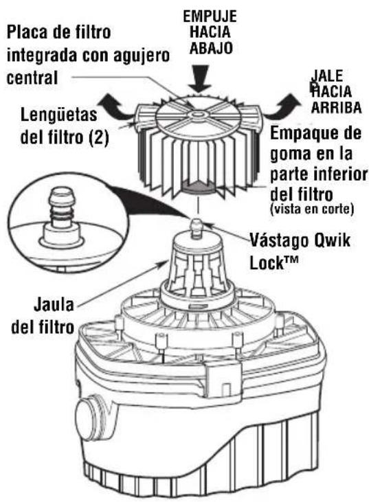 RIDGID WD4051 - Instalación del filtro: - 2