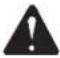 RIDGID R31011 - ADVERTENCIA: - 1