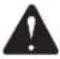 RIDGID R31011 - ADVERTENCIA: - 3