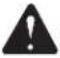 RIDGID R31011 - ADVERTENCIA: - 2