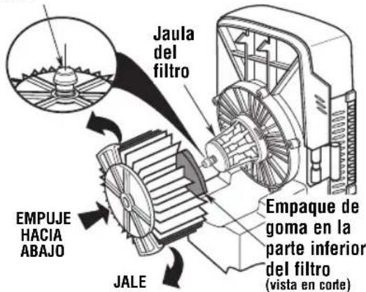 RIDGID WD455004 - Instalación del filtro: - 1
