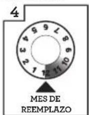 4 MES DE REEMPLAZO