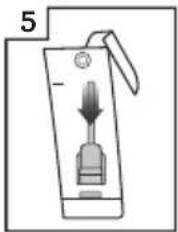 5 -