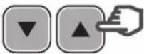 HAYWARD TriStar VSTD - Programmering av Timer-modus - 13