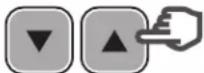 HAYWARD TriStar VSTD - In Manual mode: selecting, setting and saving a custom speed - 5