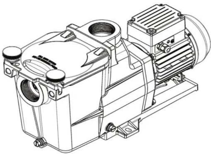 HAYWARD Super Pump Pro - HAYWARD® - 1