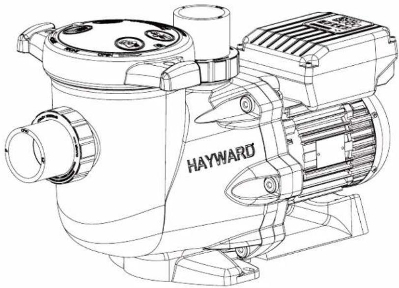 HAYWARD KFlo VSTD - HAYWARD® - 1