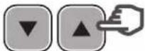 HAYWARD MaxFlo XL VSTD - In Manual mode: selecting, setting and saving a custom speed - 5