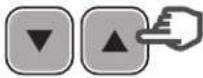 HAYWARD MaxFlo XL VSTD - Setting the Timer mode - 21