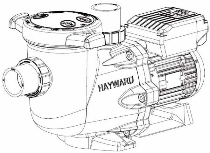 HAYWARD RS II VSTD - D) The pump does not prime - 1