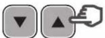 HAYWARD RS II VSTD - In Manual mode: selecting, setting and saving a custom speed - 4