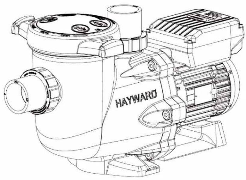 HAYWARD RS II VSTD - E) Pumpen stjoer, tjek - 1