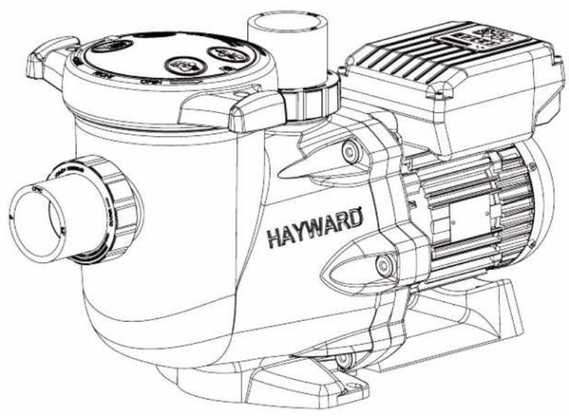 HAYWARD RS II VSTD - E) pompe bruyante, vérifier - 1