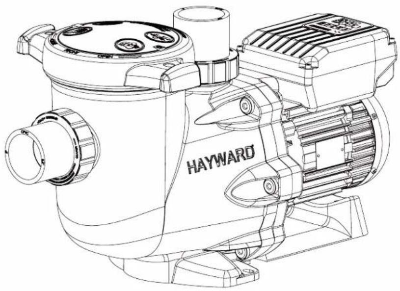 HAYWARD RS II VSTD - E) Die Pumpe ist sehr laut, sicherstellen. - 1