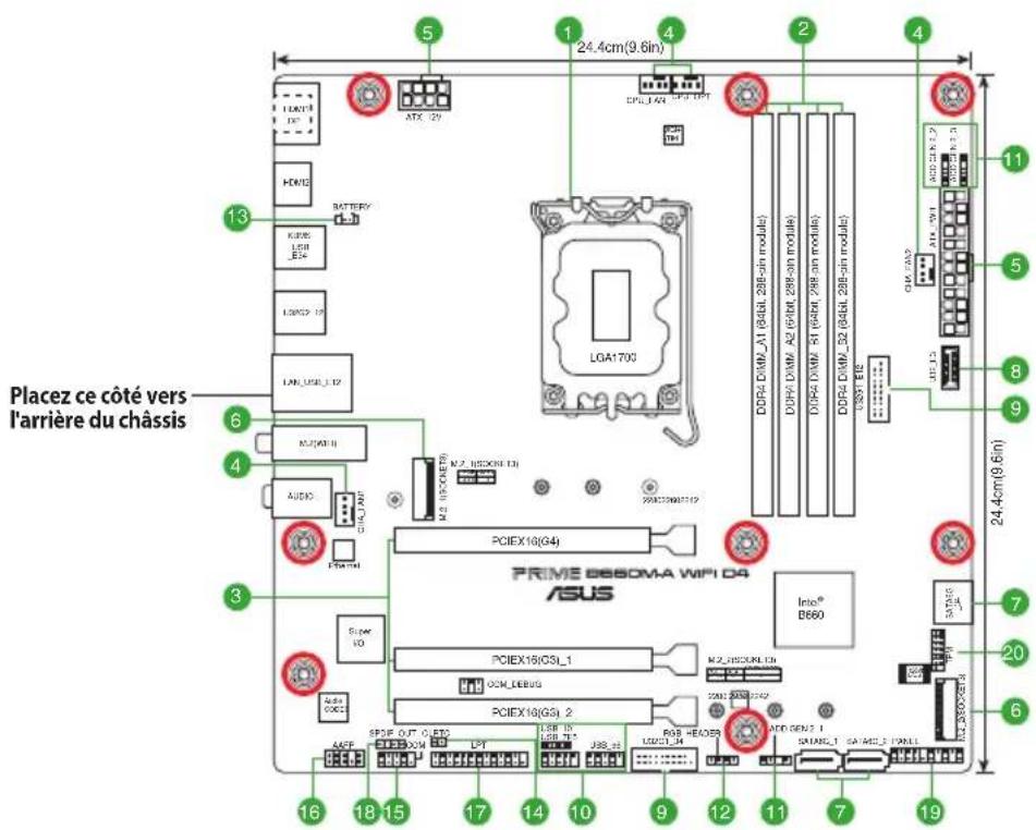 ASUS Prime B660MA WIFI D4 - Vue d'ensemble de la carte mère - 1