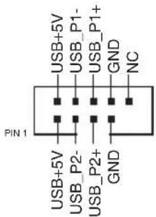 USB+5V USB_P1- USB_P1+ GND NC PIN 1 USB+5V USB_P2- USB_P2+ GND