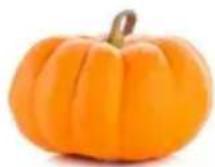 Dash Pumpkin Mini DMWP001OR - Directions: - 1