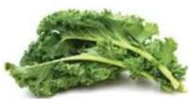 Dash Quest DQB150GBAQ02 - Directions: - 1