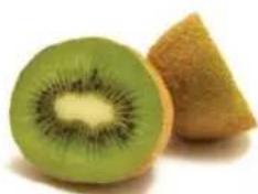 Dash Quest DQB150GBAQ02 - Directions: - 1