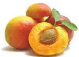 Dash Quest DQB150GBAQ02 - Directions: - 1