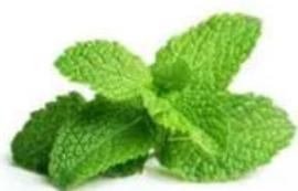 Dash Quest DQB150GBAQ02 - Directions: - 1