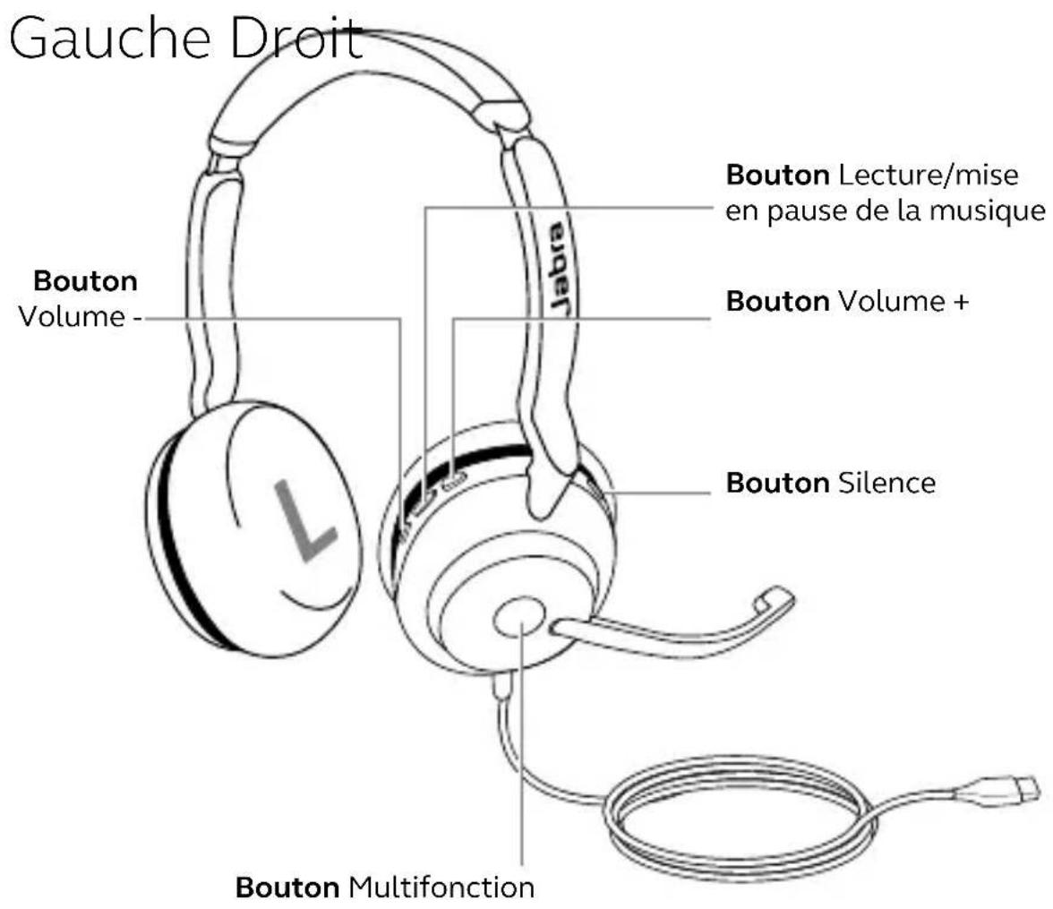 Gauche Droit Bouton Volume - Bouton Lecture/mise en pause de la musique Bouton Volume + Bouton Silence Bouton Multifonction