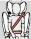 CYBEX Pallas B2Fix + Lux - MBËSHTETËSJA KËNDORE E KOKËS - 3