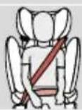 CYBEX Pallas B2Fix + Lux - ZAGŁÓWEK Z REGULACJA NACHYLENIA - 3