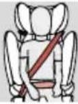 CYBEX Pallas B2Fix + Lux - 각도 조절형 헤드레스트 - 2