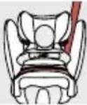 CYBEX Pallas B2Fix + Lux - 倾斜式头枕 - 1